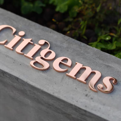 CE de aluminio ROHS de la letra de canal de acero de Cutted Logo Metal Letter Sign Stainless