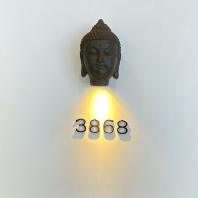 Las 304 muestras de acero inoxidables iluminadas de la dirección del metal atornillan el soporte