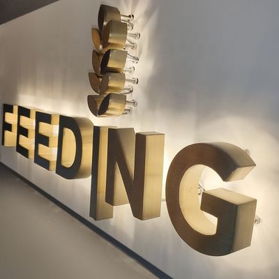 El oro cepilla muestras retroiluminadas de acero inoxidables de las letras